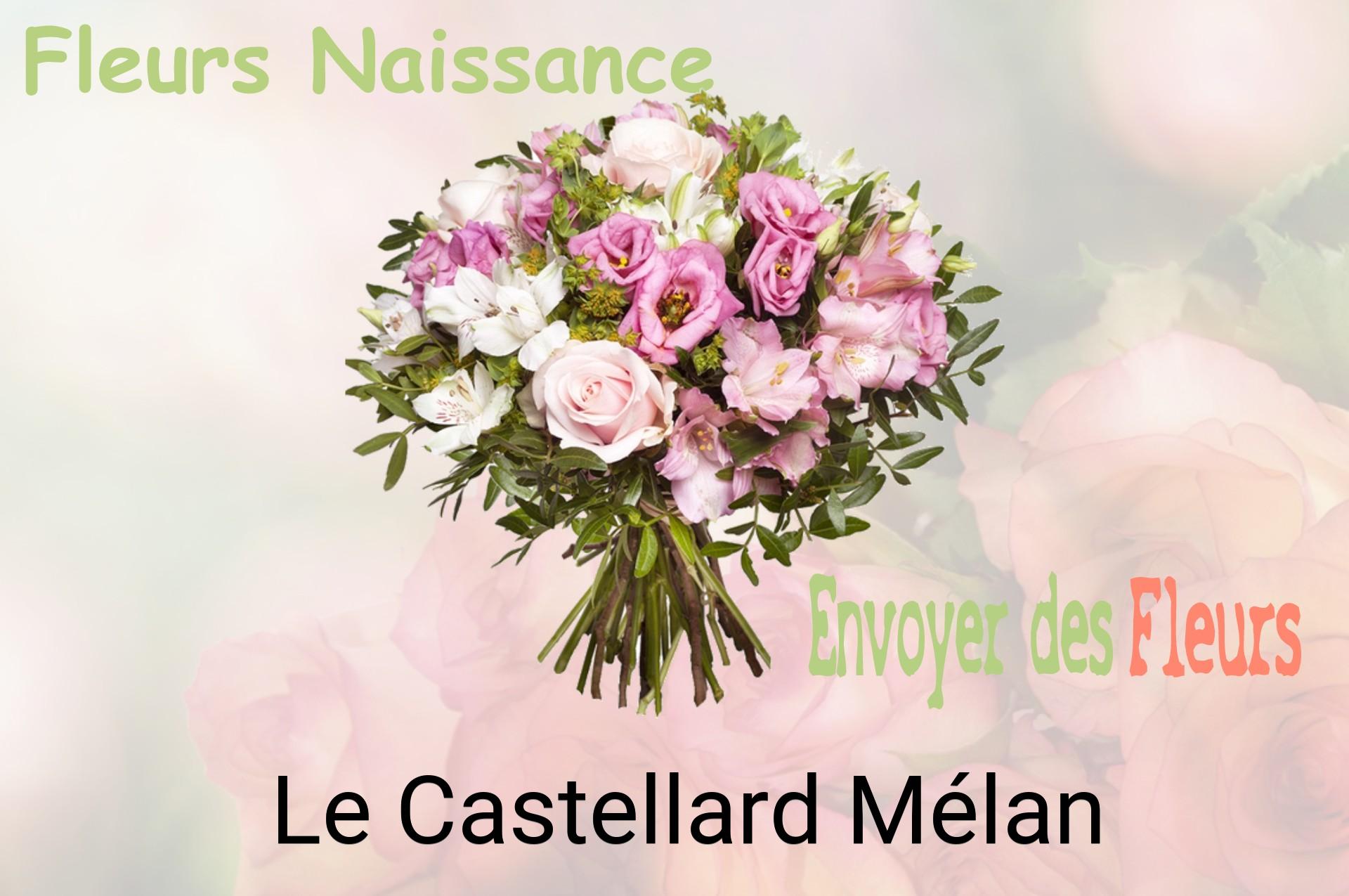 Bouquet de fleurs de naissance livré à Le Castellard-Mélan